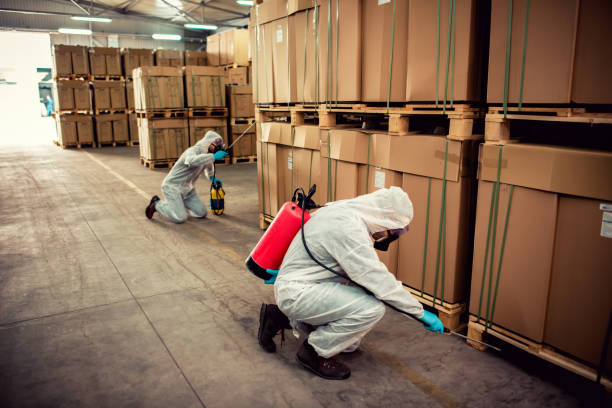 Best Pest Removal Services  in Brookwood, AL