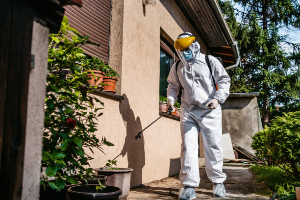 Trusted Brookwood, AL Pest Control Experts