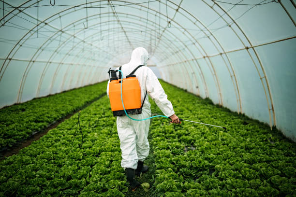 Best Pest Control Near Me in Brookwood, AL