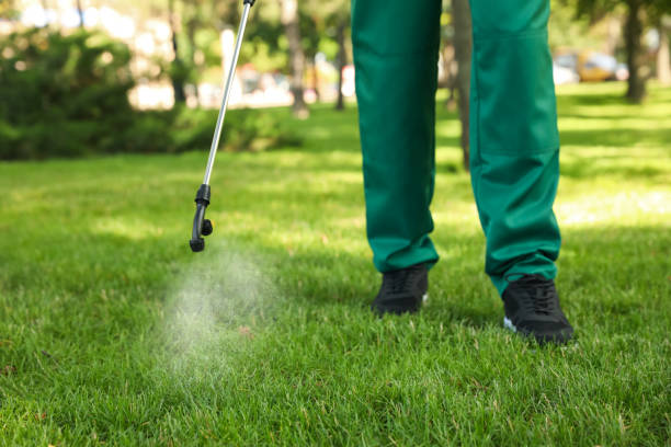 Best Commercial Pest Control Services  in Brookwood, AL