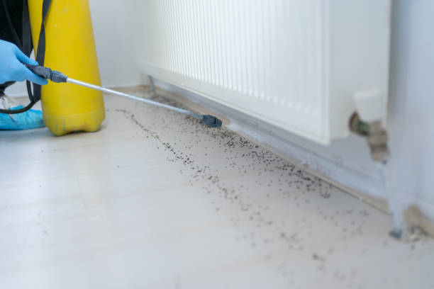 Best Pest Control Cost  in Brookwood, AL