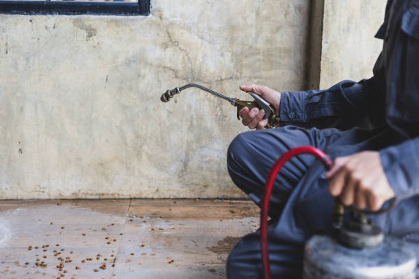 Best Mosquito Control Services  in Brookwood, AL