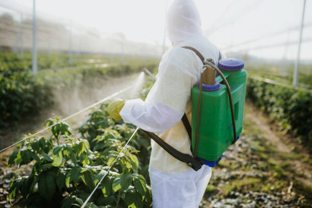 Best Bed Bug Extermination  in Brookwood, AL